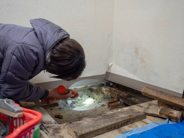 Best Commercial Mold Inspection  in Ferndale, MI