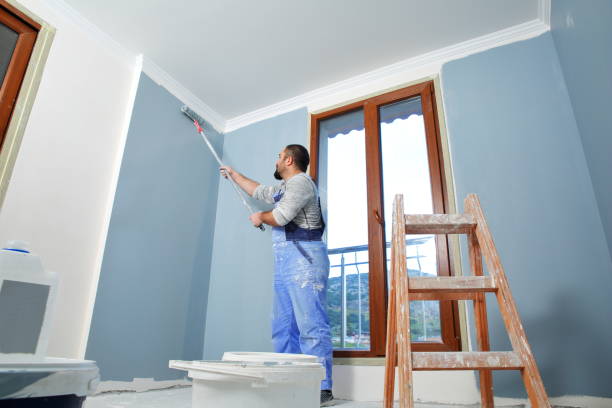 Best Mold Odor Removal Services  in Ferndale, MI