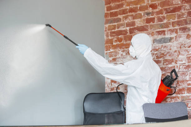 Best Biohazard Mold Removal  in Ferndale, MI