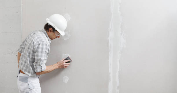 Best Mold Removal for HVAC Installations  in Ferndale, MI