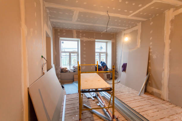 Mold Documentation for Insurance Claims in Ferndale, MI